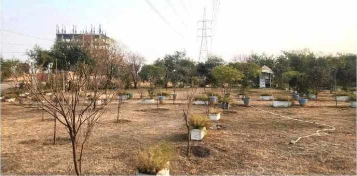 Plot with Building for Rent, Islamabad Expressway, Islamabad