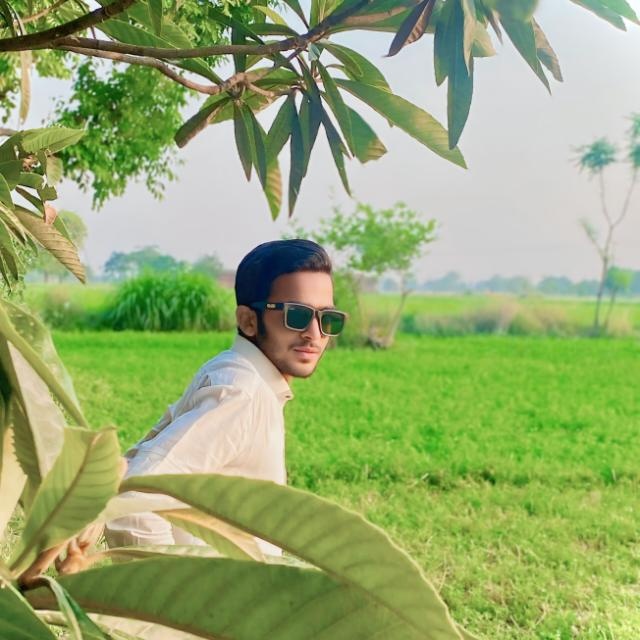 Waseem Sajjad