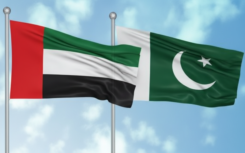 UAE Now Processing 500 Visas Daily for Pakistanis, Ambassador Says