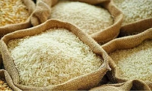 Saudi Arabia Targets Investment in Pakistan's Rice Industry