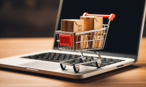 Senate Panel Vows to Curb 'Crippling' E-commerce Taxes