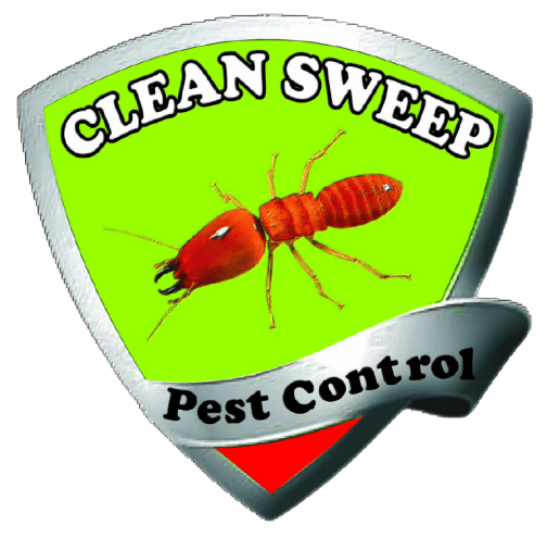 Clean Sweep Pest Control Islamabad