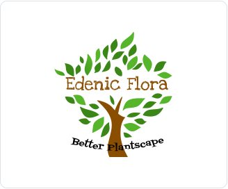 Edenic Flora Pvt. Limited