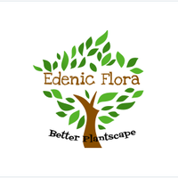 Edenic Flora