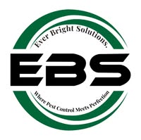 Ever Bright Solutions