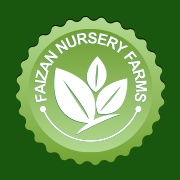 Faizan Nursery Farms