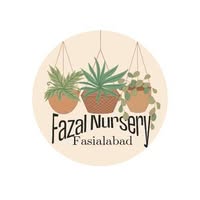 Fazal nursery