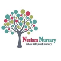 Neelam Nursary Farm