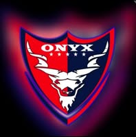 Onyx Security Faislabad
