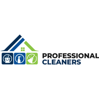 Professional Cleaners