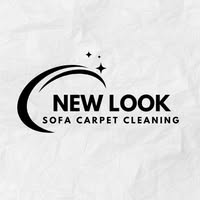 Sofa and carpet cleaner