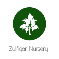 Zulfiqar Nursery